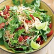 salata thailandeza salata thailandeza