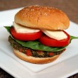 burger-vegetal-cu-chiftea-din-fasole