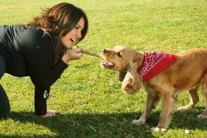 exercitii fitness slabit