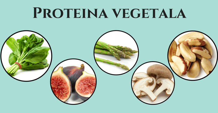 Surse de proteine vegetale, pentru forta si energie