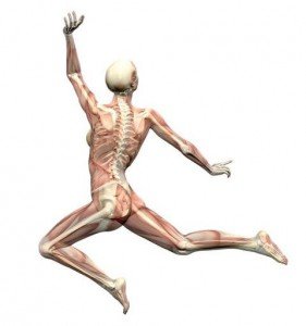 oase sanatoase oase sanatoase