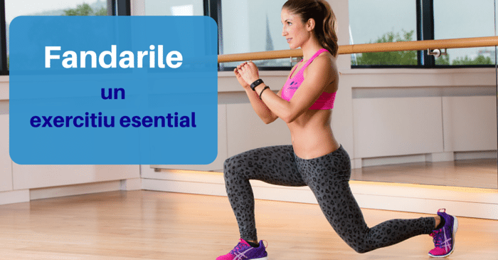 fandarile