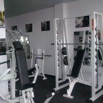 LIONS GYM 2 LIONS GYM 2