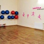 Lady's Gym 1 lady's gym