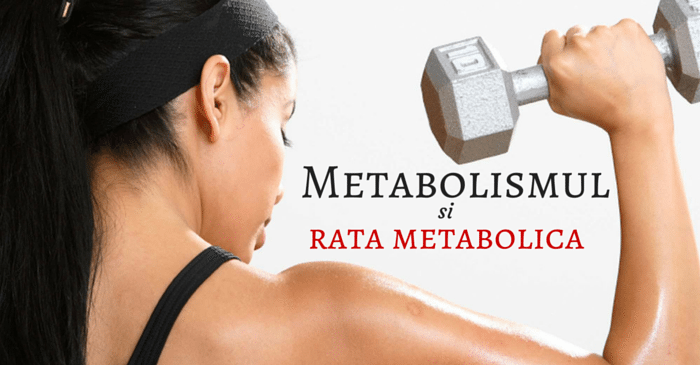 tot ce trebuie sa stii despre metabolism si rata metabolica