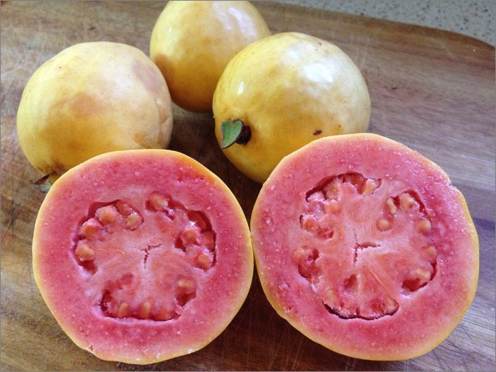 Surse mai putin cunoscute de proteina vegetala 4 guava