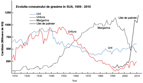 evolutia-consumului-de-grasime