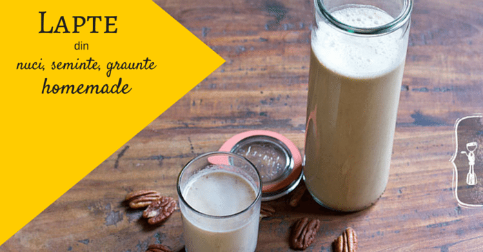 Cum sa faci singur lapte din nuci/seminte/graunte