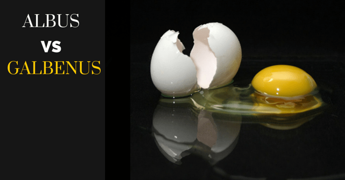 Albus vs galbenus de ou. Ce sa alegem?