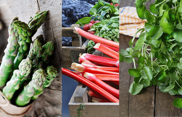 alimente-primavara-0