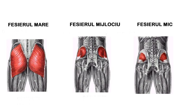 8 exercitii pentru fesieri 2 exercitii pentru fesieri