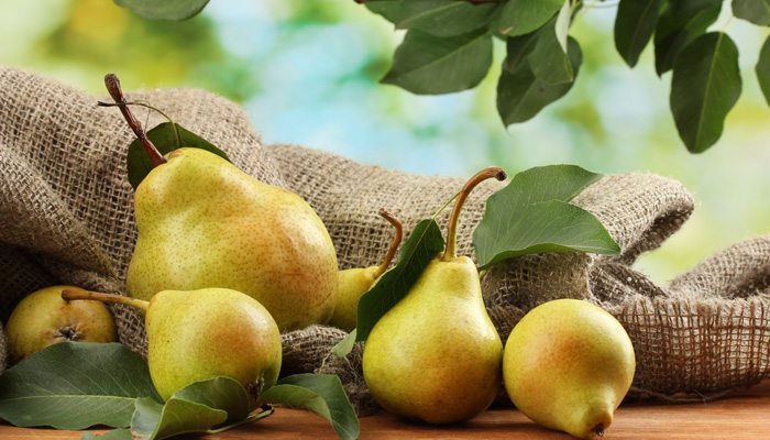 alimente pentru slabit 