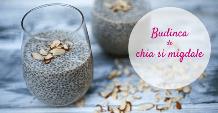 budinca-de-chia-si-migdale budinca de chia si migdale