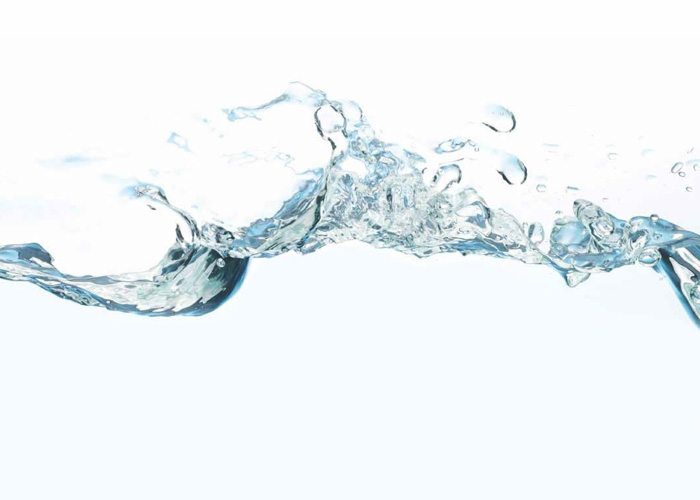 alimente care scad apetitul