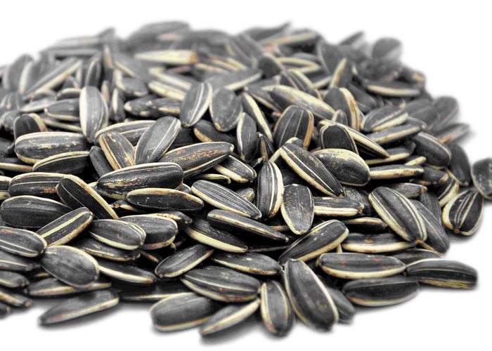 Program de antrenament care te scapa de celulita (+ sfaturi de nutritie) 7 antrenament pentru celulita