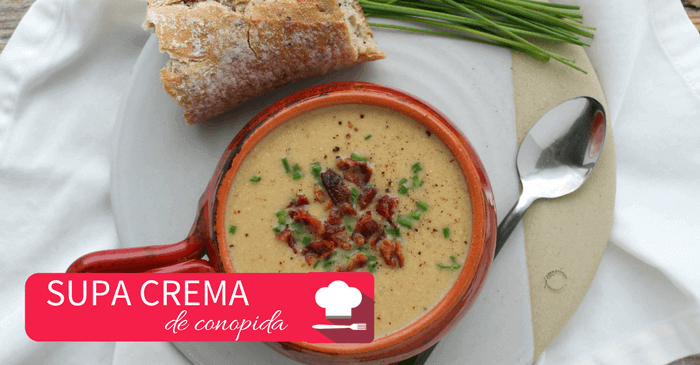 supa crema de conopida