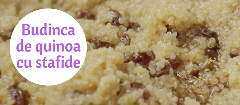 Budinca de quinoa cu scortisoara si stafide aurii 3
