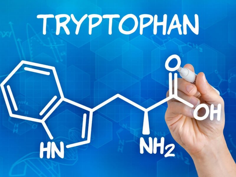 Ghid complet Triptofan: surse, rol si cum functioneaza