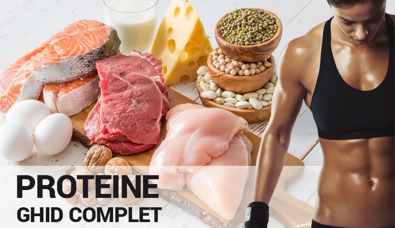 Proteine si suplimente proteice – un ghid complet