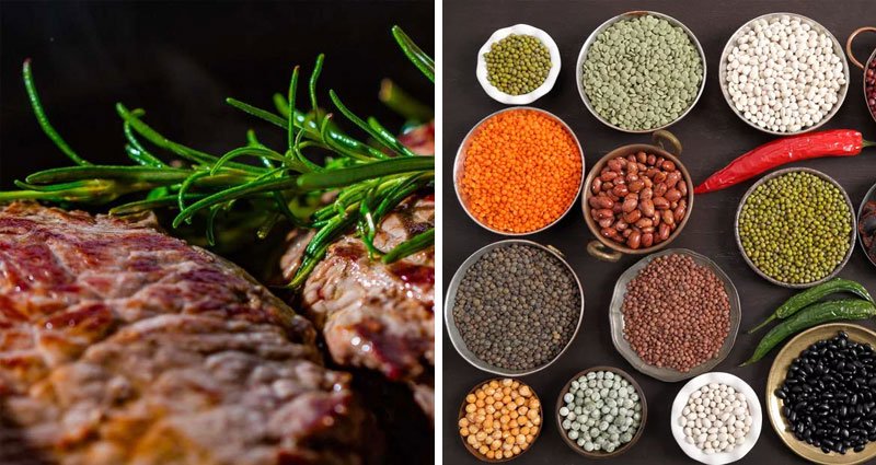 24 de ponturi pentru imbunatatirea dietei 2 Proteine vegetale si proteine animale. Ce le diferentiaza?