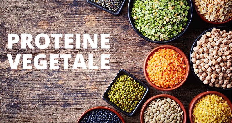 Proteine vegetale