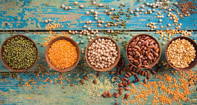 SURSE DE PROTEINE VEGETALE