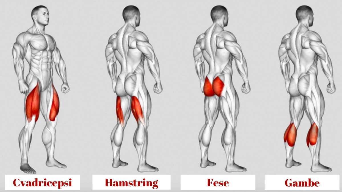 8 exercitii ideale pentru picioare puternice si sexy 2