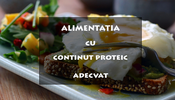 Cum sa ai o alimentatie cu un continut proteic adecvat 13