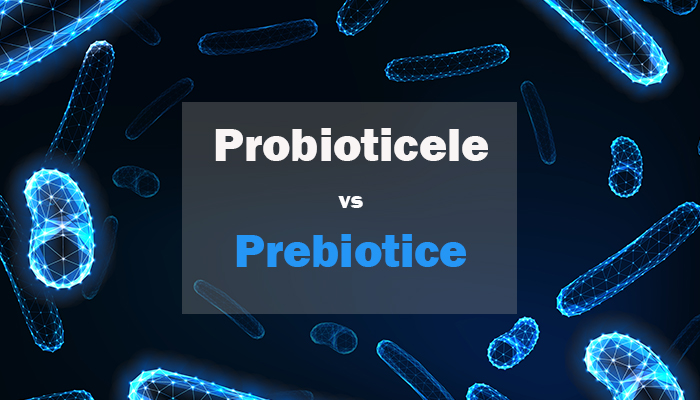 Prebiotice si Probiotice. Care este diferenta si de ce sunt importante?
