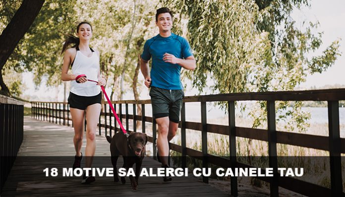 18 motive sa alergi alaturi de cainele tau