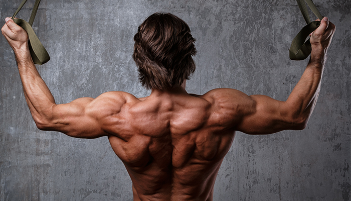 Poti construi masa musculara doar cu exercitii cu greutatea corpului? 2