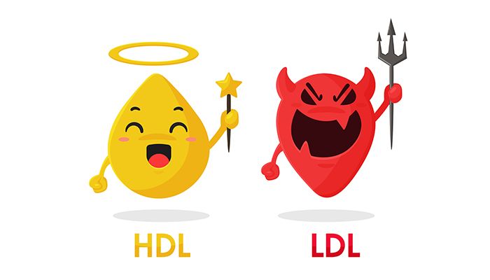 Trigliceridele: motiv de ingrijorare sau nu? 7