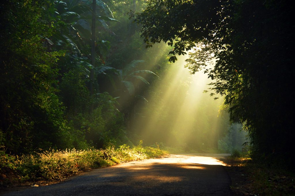 De ce ar trebui sa faci o drumetie solo importanta anul acesta 3 De ce ar trebui sa faci o drumetie solo importanta anul acesta 3
