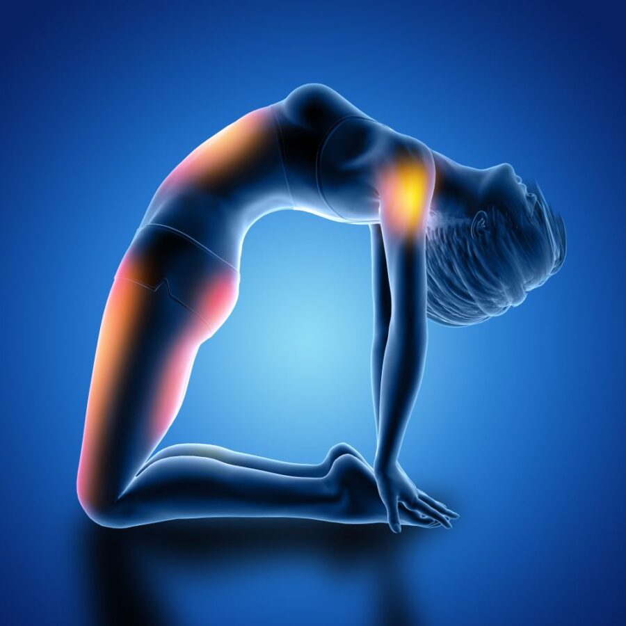 10 exercitii pentru mobilitatea articulatiilor si flexibilitate 1