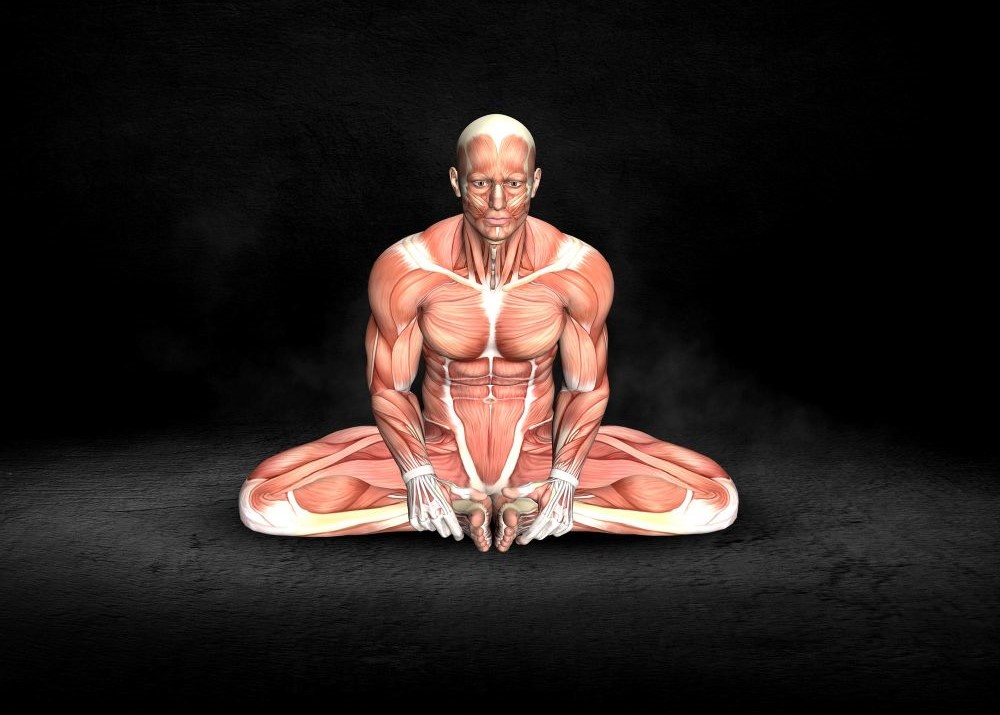 Top 11 exercitii pentru trunchi pentru toate nivelurile 1 Top 11 exercitii pentru trunchi pentru toate nivelurile 1