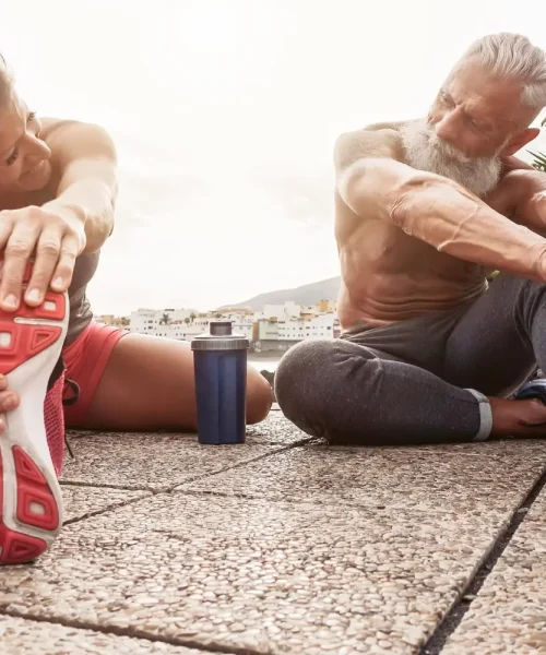 Top Fitness – Exercitii, antrenamente, diete